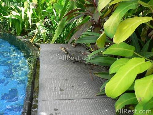 Sheraton Senggigi Beach Resort 69